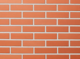 Облицовочный кирпич LODE Janka, RF 250x120x65 мм