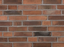Клинкерный кирпич Petersen Tegl Bricks D36, DNF 228x108x54 мм