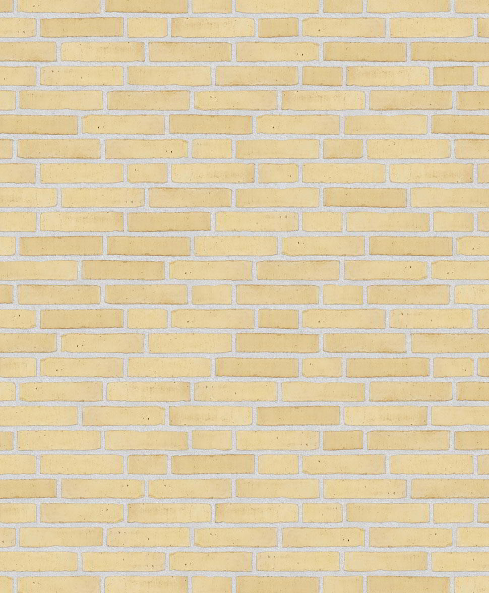Клинкерный состаренный кирпич Randers Tegl  Classica RT 207, ECO-DNF 228X50X54 мм