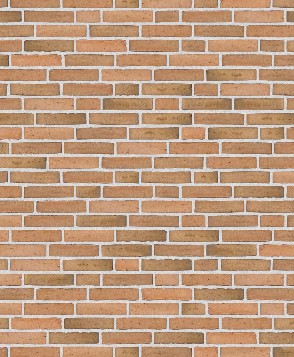 Клинкерный состаренный кирпич Randers Tegl  Classica RT 433, ECO-DNF 228X50X54 мм