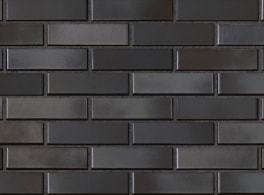 Облицовочный кирпич RECKE BRICKEREI (Россия) 5-32-00-0-00 0.7NF, 250x85x65 мм